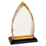 Oval Impress Acrylic - Custom Engraved Award