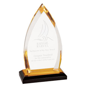 Oval Impress Acrylic - Custom Engraved Award