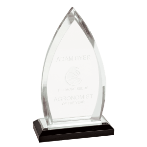 Oval Impress Acrylic - Custom Engraved Award