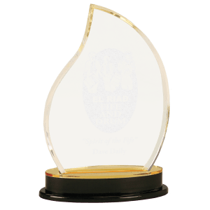 Flame Impress Acrylic - Custom Engraved Award