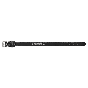 Black with Silver Engraving Small Dog Collar - Laser Engraved Pet Accessory