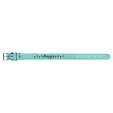 Teal with Black Engraving Small Dog Collar - Laser Engraved Pet Accessory
