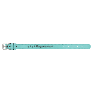 Teal with Black Engraving Small Dog Collar - Laser Engraved Pet Accessory