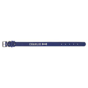 Blue with Silver Engraving Small Dog Collar - Laser Engraved Pet Accessory