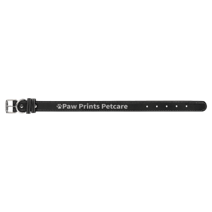 Black with Silver Engraving Medium Dog Collar - Laser Engraved Pet Accessory