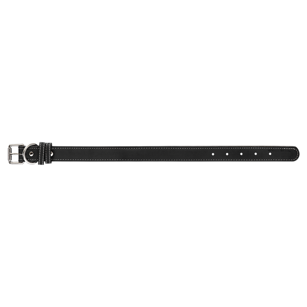 Black with Silver Engraving Medium Dog Collar - Laser Engraved Pet Accessory