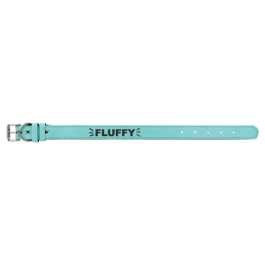 Teal with Black Engraving Medium Dog Collar - Laser Engraved Pet Accessory