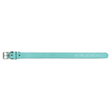 Teal with Black Engraving Medium Dog Collar - Laser Engraved Pet Accessory
