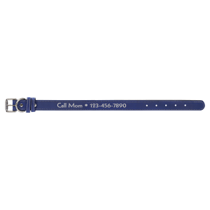 Blue with Silver Engraving Medium Dog Collar - Laser Engraved Pet Accessory