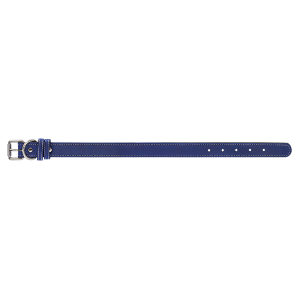 Blue with Silver Engraving Medium Dog Collar - Laser Engraved Pet Accessory