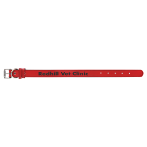 Red with Black Engraving Medium Dog Collar - Laser Engraved Pet Accessory