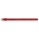  Red-Black