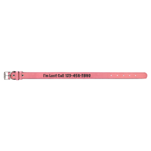 Pink with Black Engraving Large Dog Collar - Laser Engraved Pet Accessory