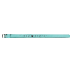 Teal with Black Engraving Large Dog Collar - Laser Engraved Pet Accessory