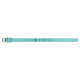 Teal with Black Engraving Large Dog Collar - Laser Engraved Pet Accessory