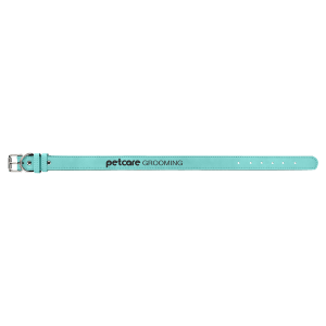 Teal with Black Engraving Extra Large Dog Collar - Laser Engraved Pet Accessory