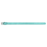 Teal with Black Engraving Extra Large Dog Collar - Laser Engraved Pet Accessory