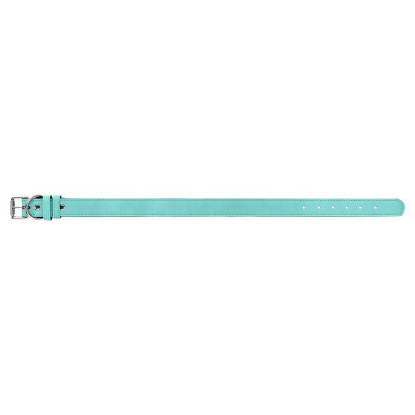 Teal with Black Engraving Extra Large Dog Collar - Laser Engraved Pet Accessory