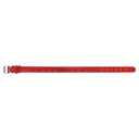  Red-Black