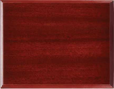 Value High Gloss Finish Plaque in 3 Colors - Custom Engraved Plaque