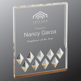 Diamond Mirage Acrylic - Custom Engraved Award