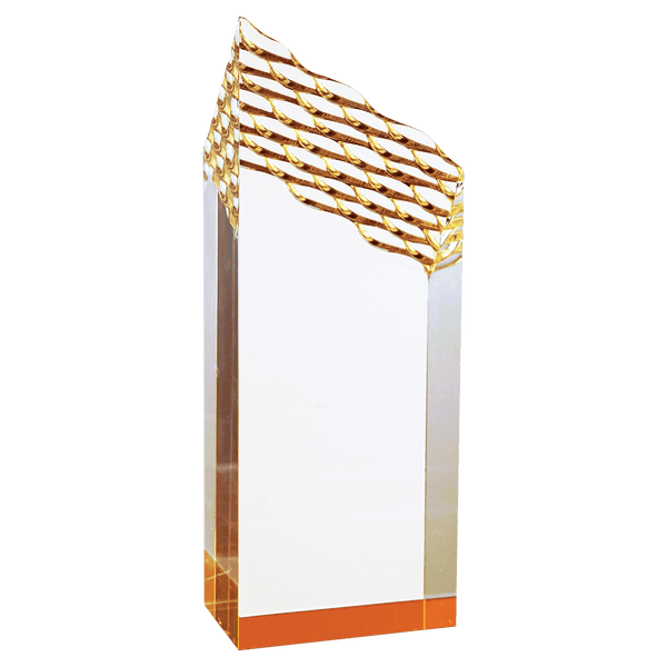 Riptide Acrylic - Custom Engraved Award