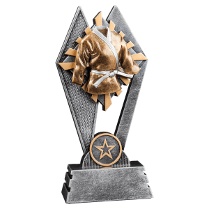 Martial-Arts Sun Ray Resin Trophy - Custom Engraved Award