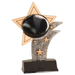 Varsity Sport Resin Trophy - Custom Engraved Award