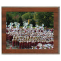 Cherry Finish Slide-In Frame Certificate Holder - LyteWork - 12x10
